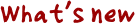 �ߋ��̍X�V���